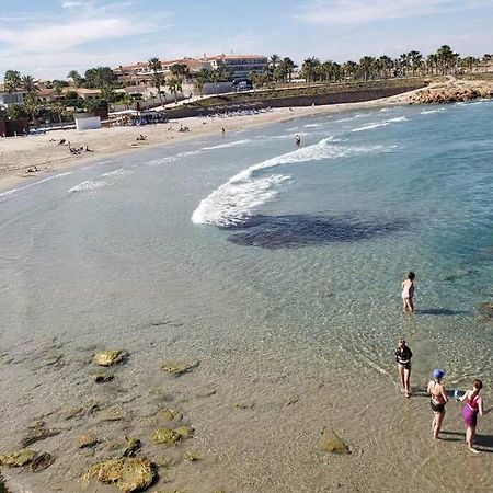 Playa Flamenca Splendid Apartment On The Beach 阿利坎特 外观 照片