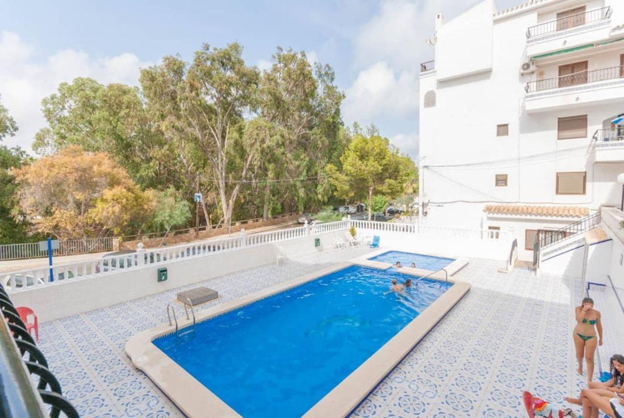 Playa Flamenca Splendid Apartment On The Beach 阿利坎特 外观 照片