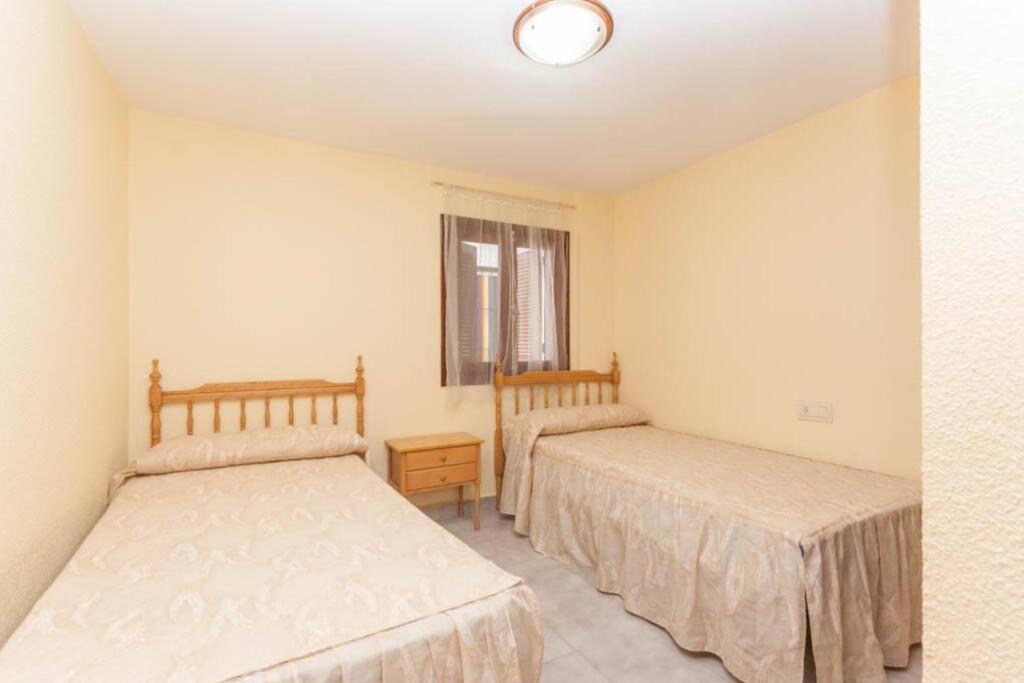 Playa Flamenca Splendid Apartment On The Beach 阿利坎特 外观 照片