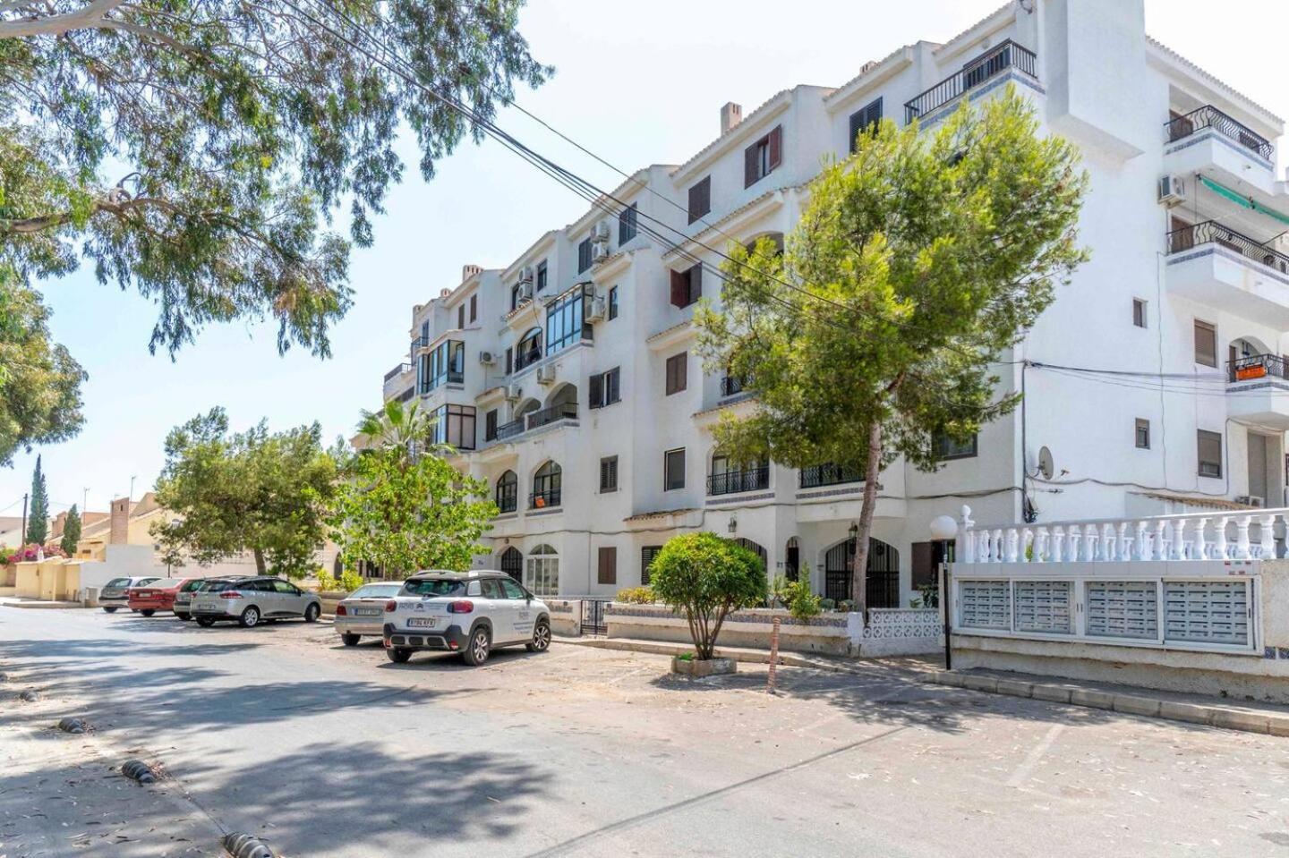 Playa Flamenca Splendid Apartment On The Beach 阿利坎特 外观 照片