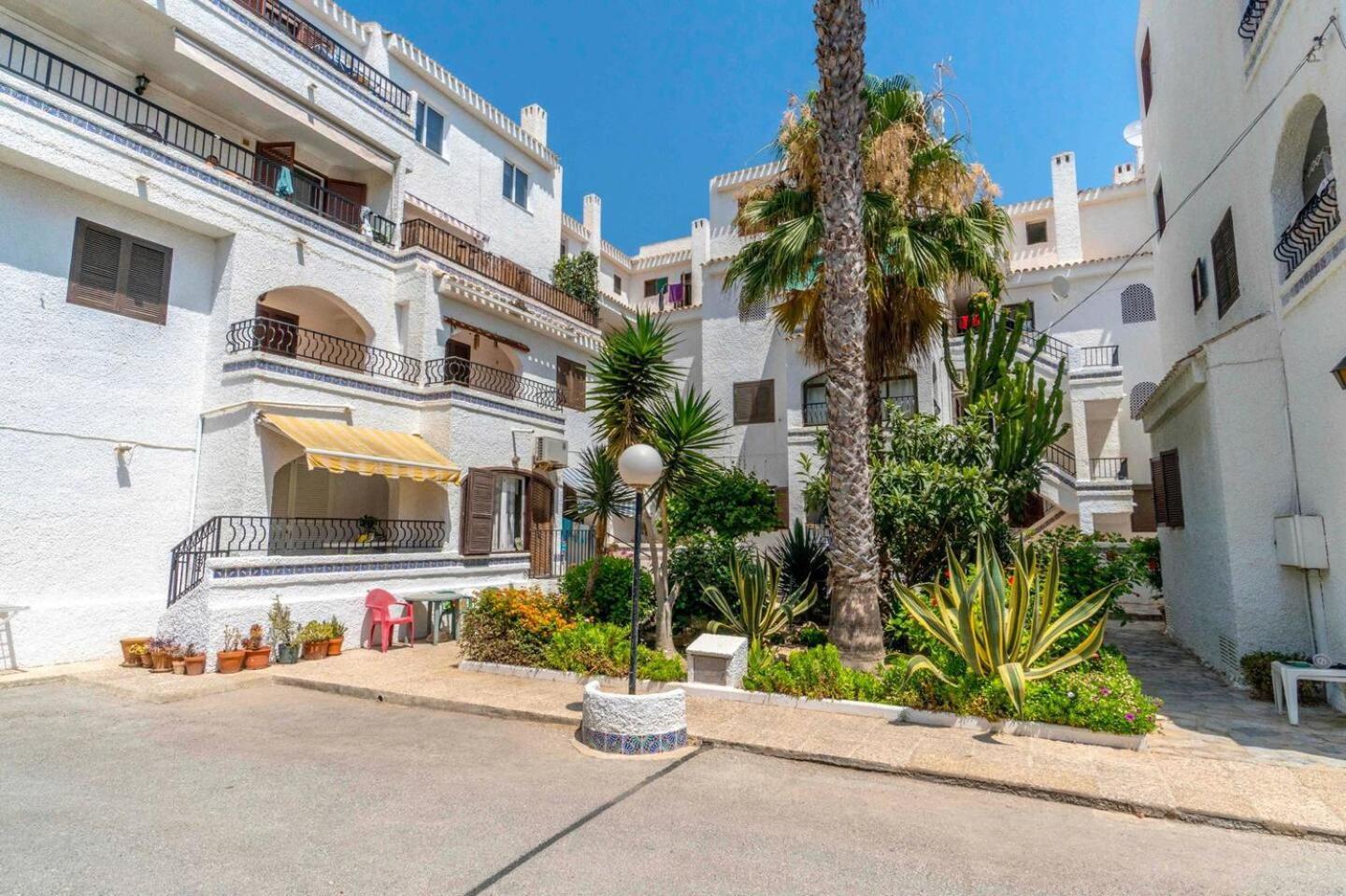 Playa Flamenca Splendid Apartment On The Beach 阿利坎特 外观 照片
