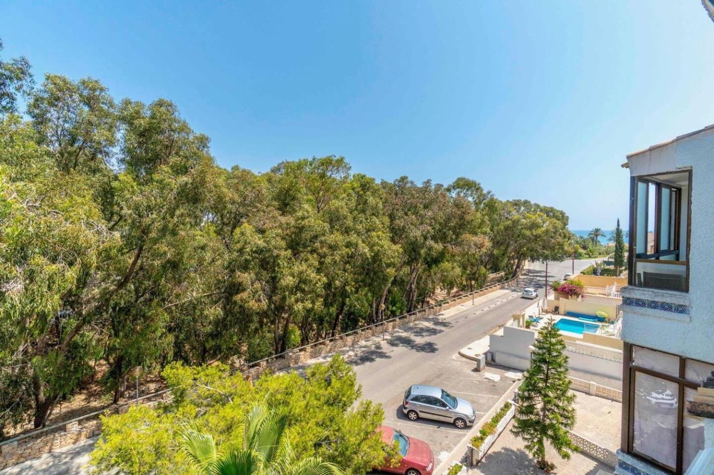 Playa Flamenca Splendid Apartment On The Beach 阿利坎特 外观 照片