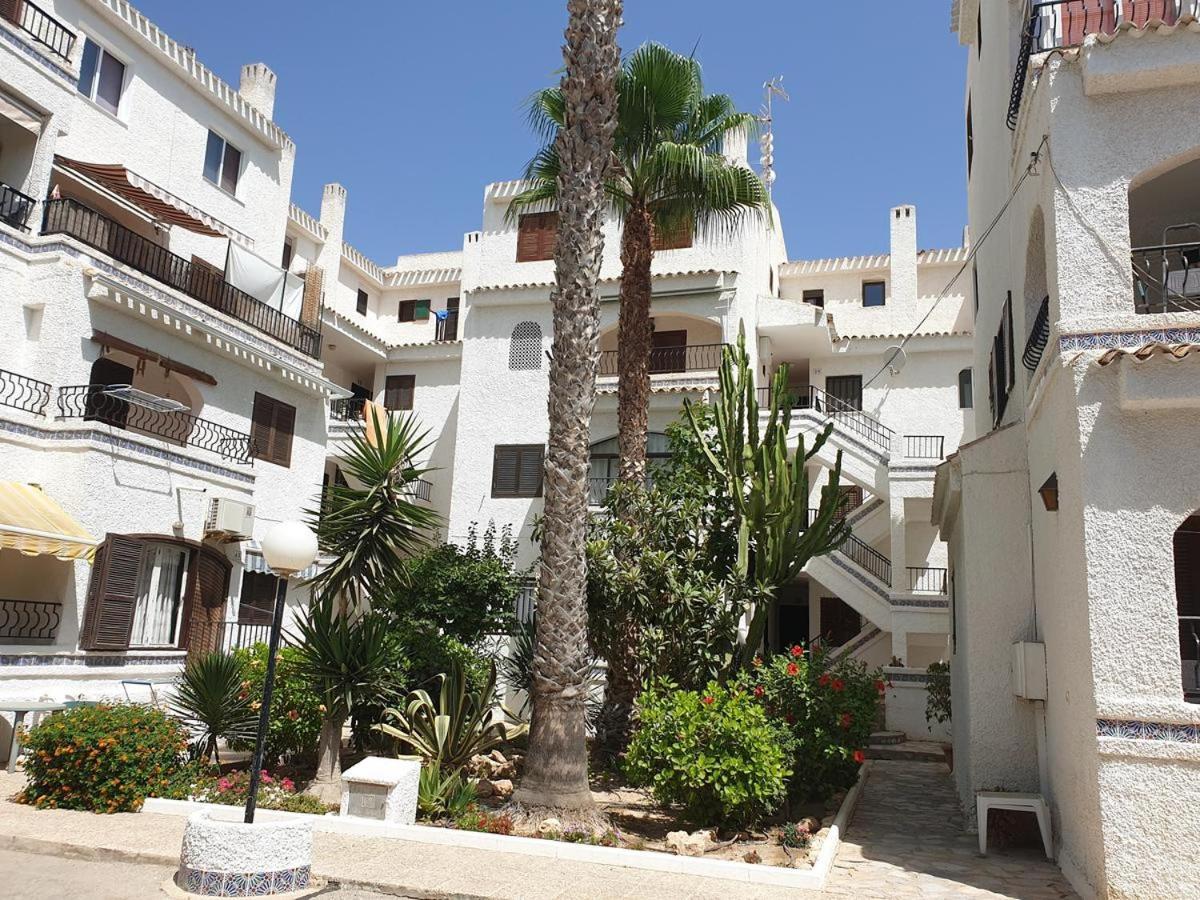 Playa Flamenca Splendid Apartment On The Beach 阿利坎特 外观 照片
