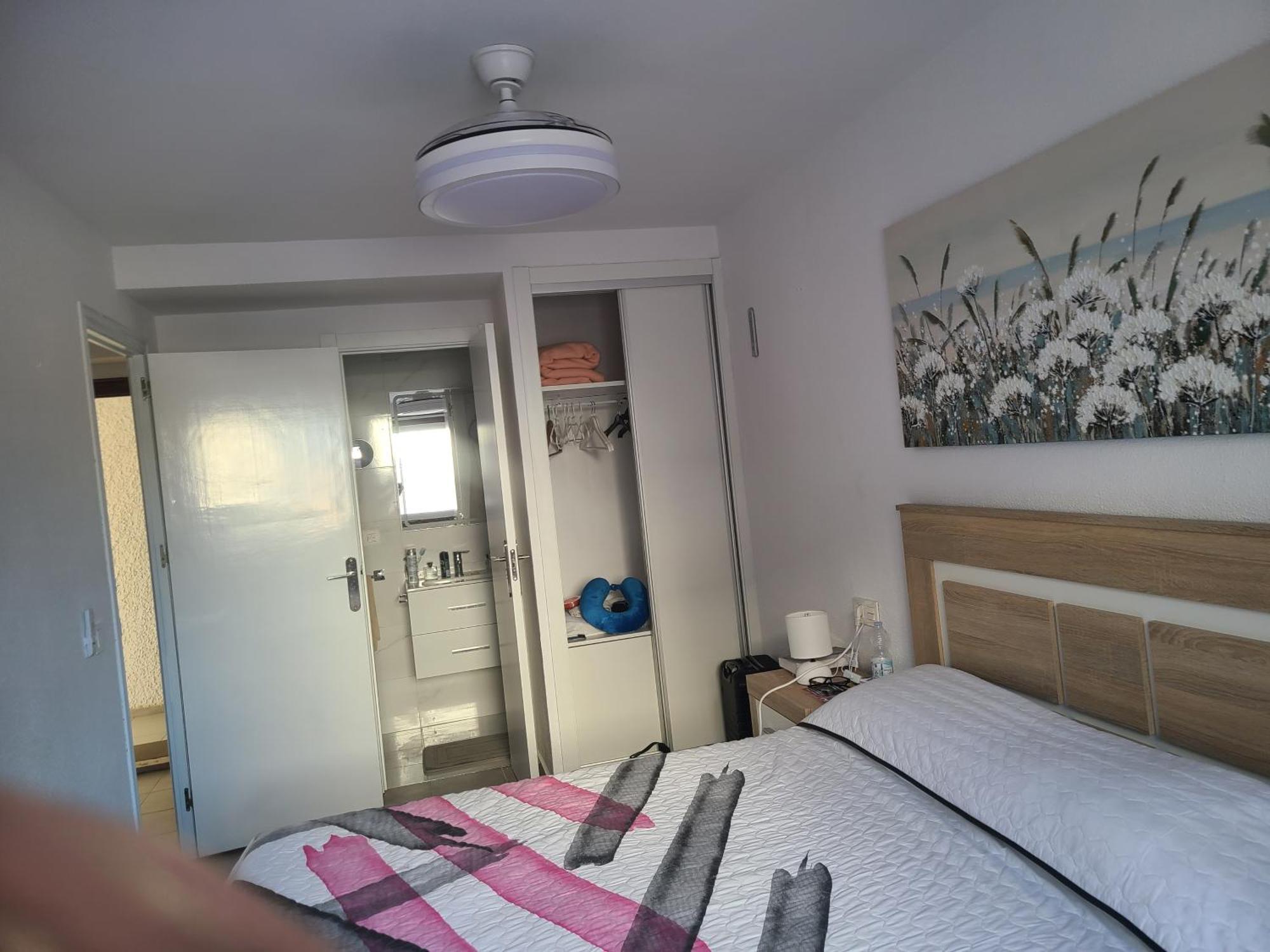 Playa Flamenca Splendid Apartment On The Beach 阿利坎特 外观 照片