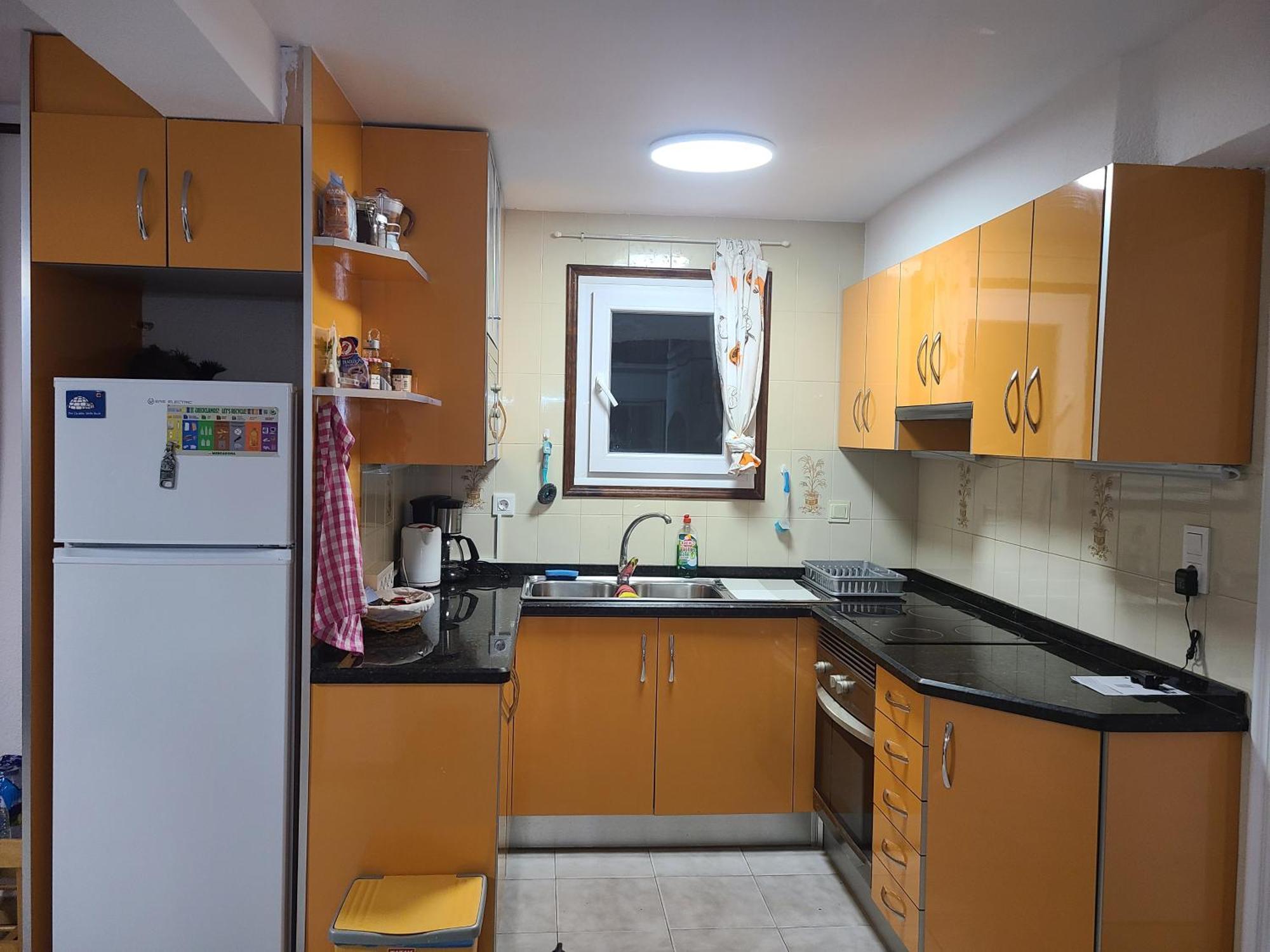 Playa Flamenca Splendid Apartment On The Beach 阿利坎特 外观 照片