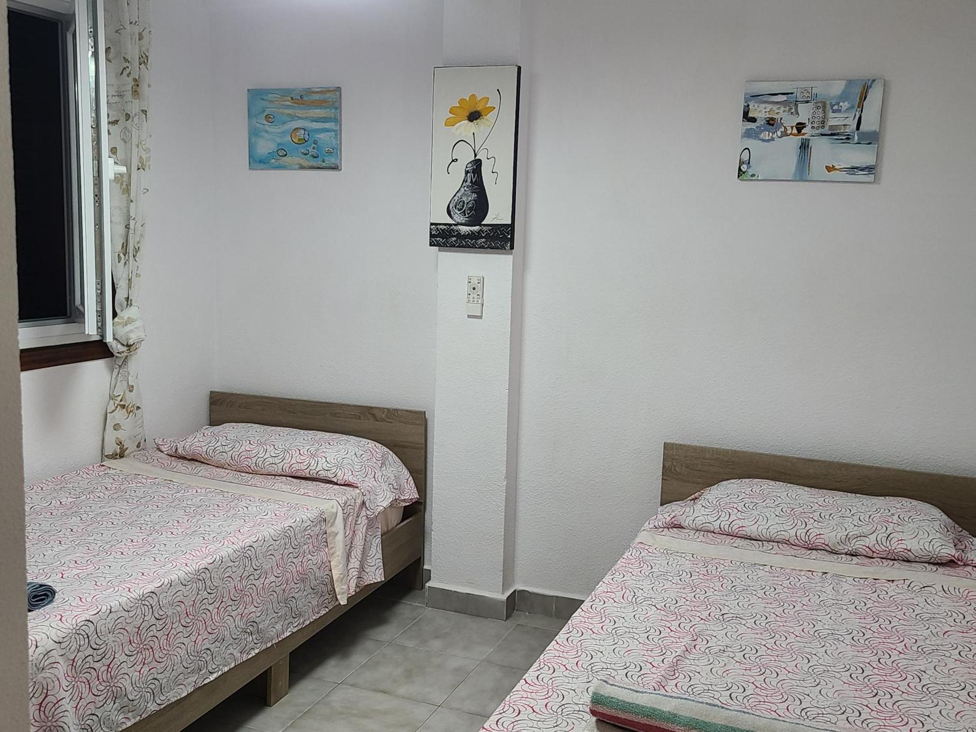 Playa Flamenca Splendid Apartment On The Beach 阿利坎特 外观 照片